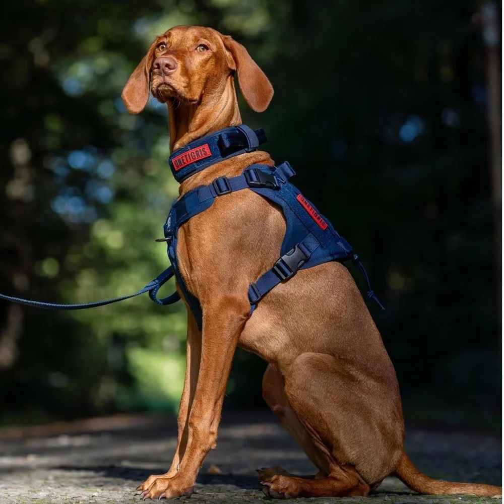 New Onetigris no pull dog harness L